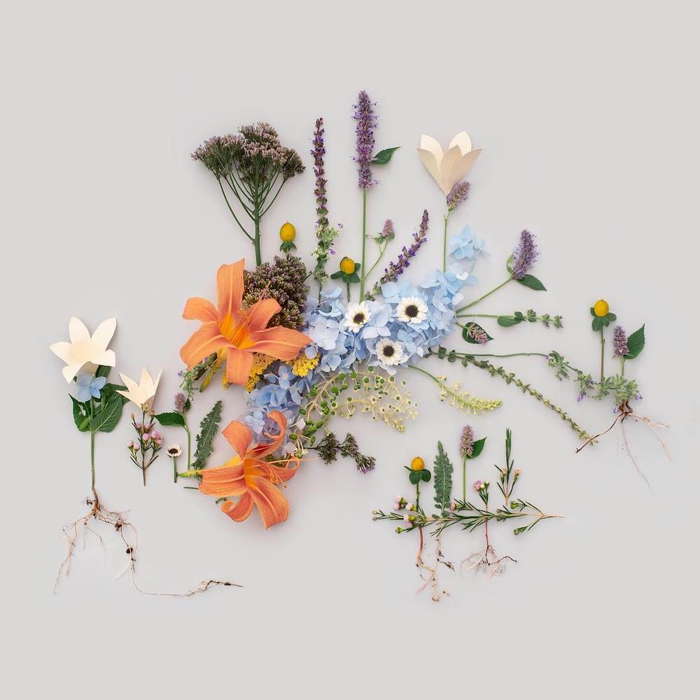 Kristen Meyer Creates Geometric Flat Lays Using Everyday Objects Floral Pattern