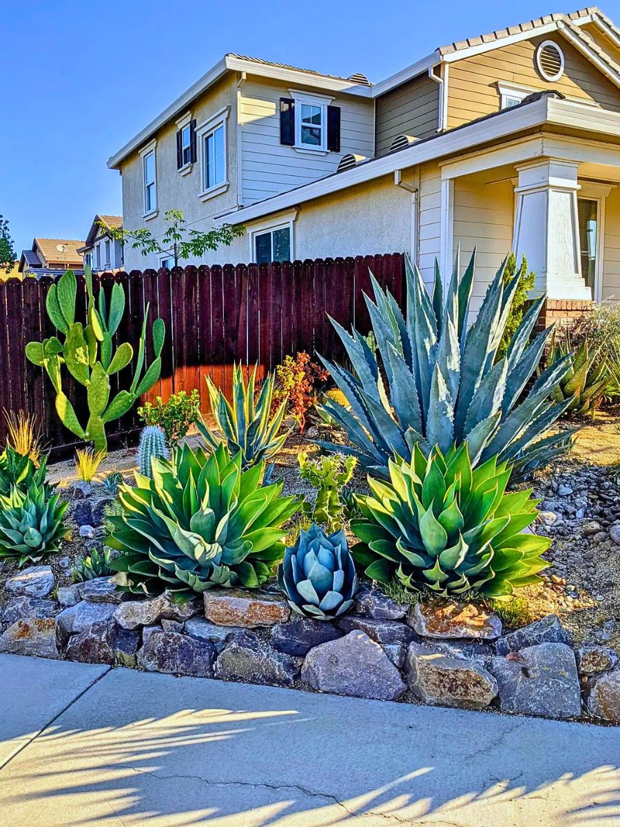 ​Xeriscap​ing Your Home