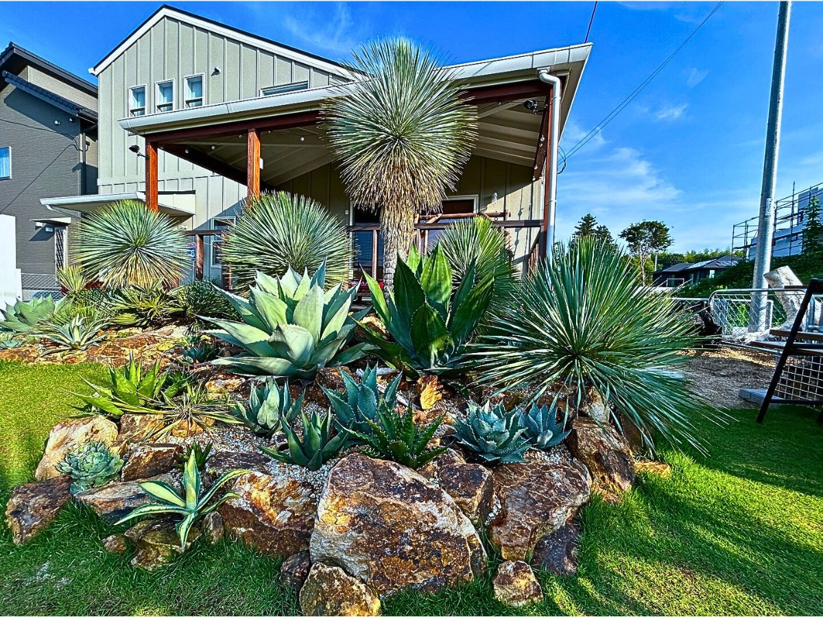 ​Xeriscap​ing Your Home