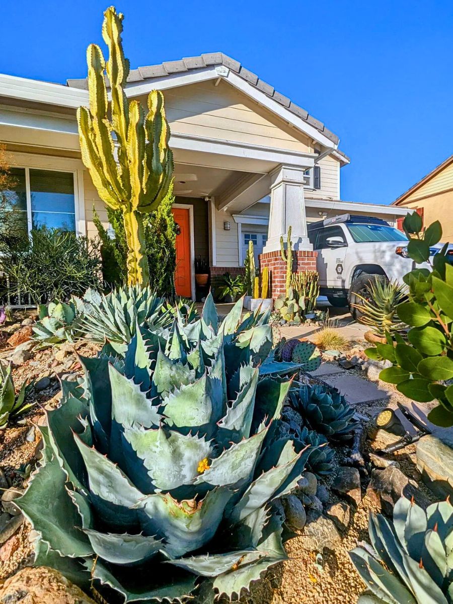 Xeriscaping Your Home