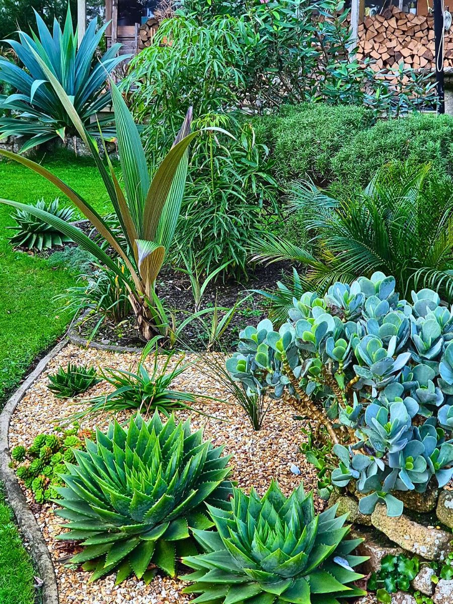 Xeriscaping Your Home