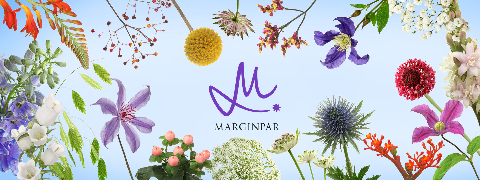 Marginpar Newsletter