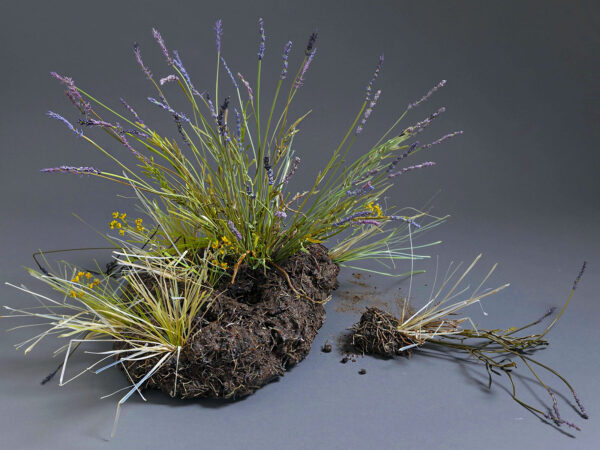 Wilting Flowers Elegantly Sculpted in Glass