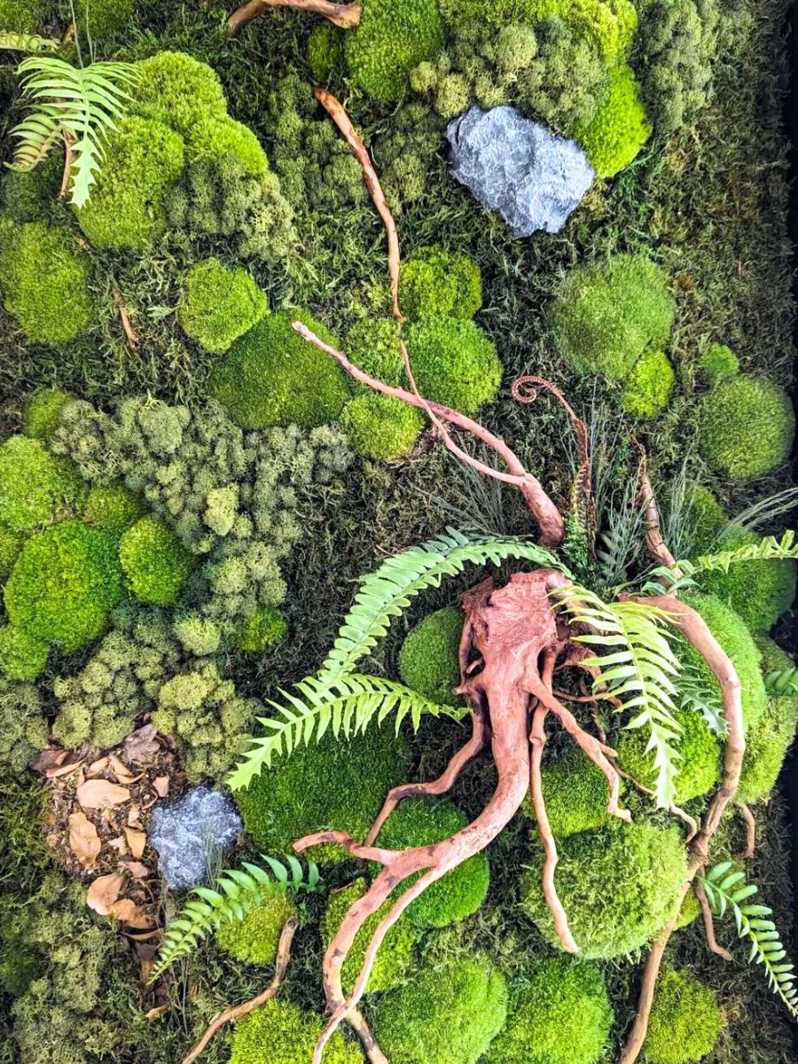 A green and mossy work of art