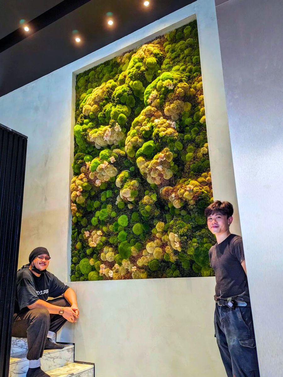 Enormous moss wall with different colors