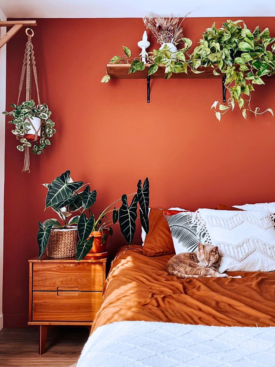 Adding Plants to Your Bedroom Benefits Sleep