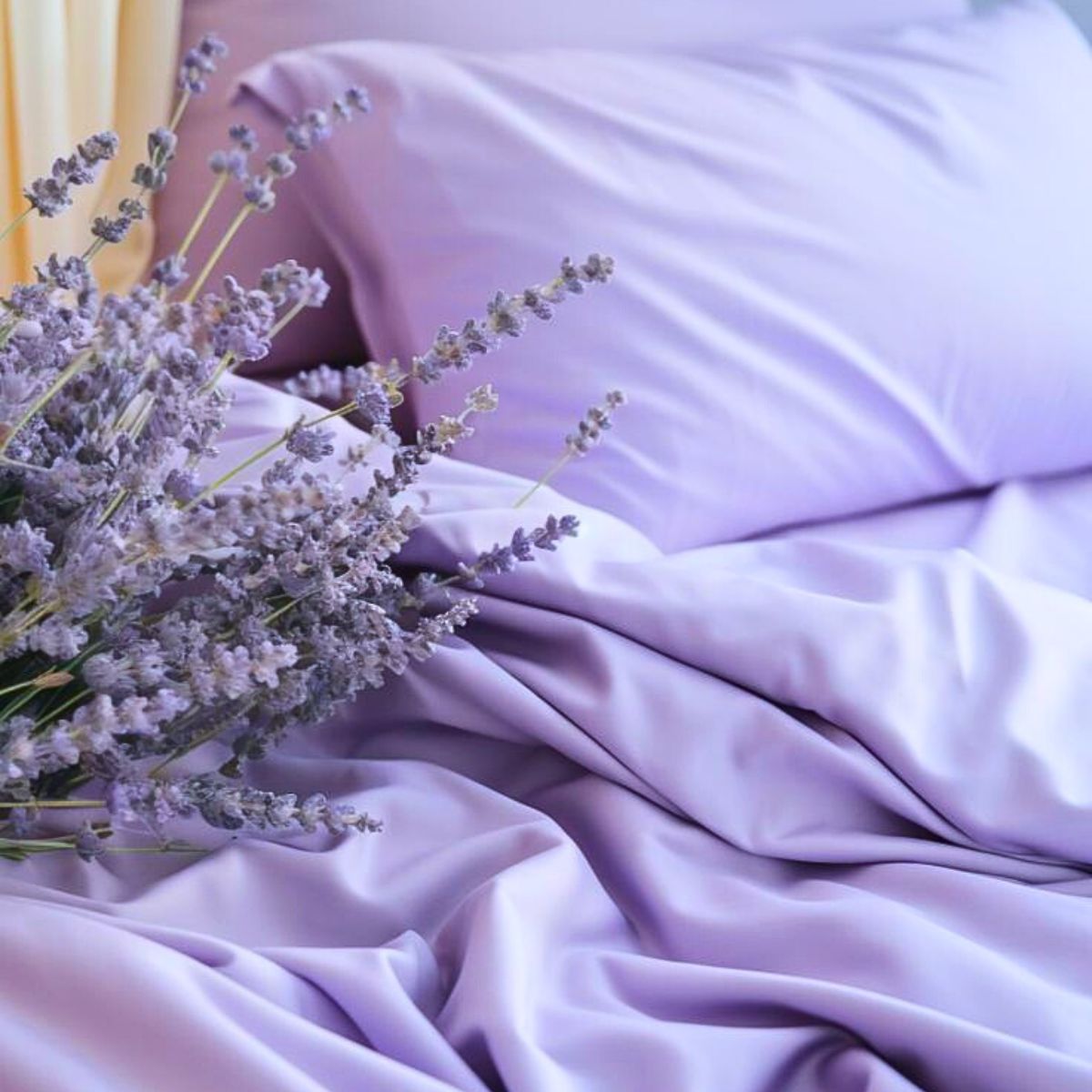 ​Adding Plants to Your Bedroom Benefits Sleep