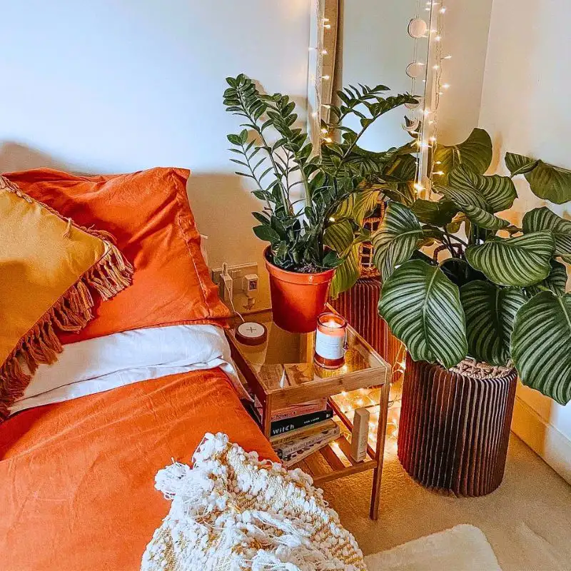 Incorporating These Seven Plants into Your Bedroom Can Enhance Sleep Quality
