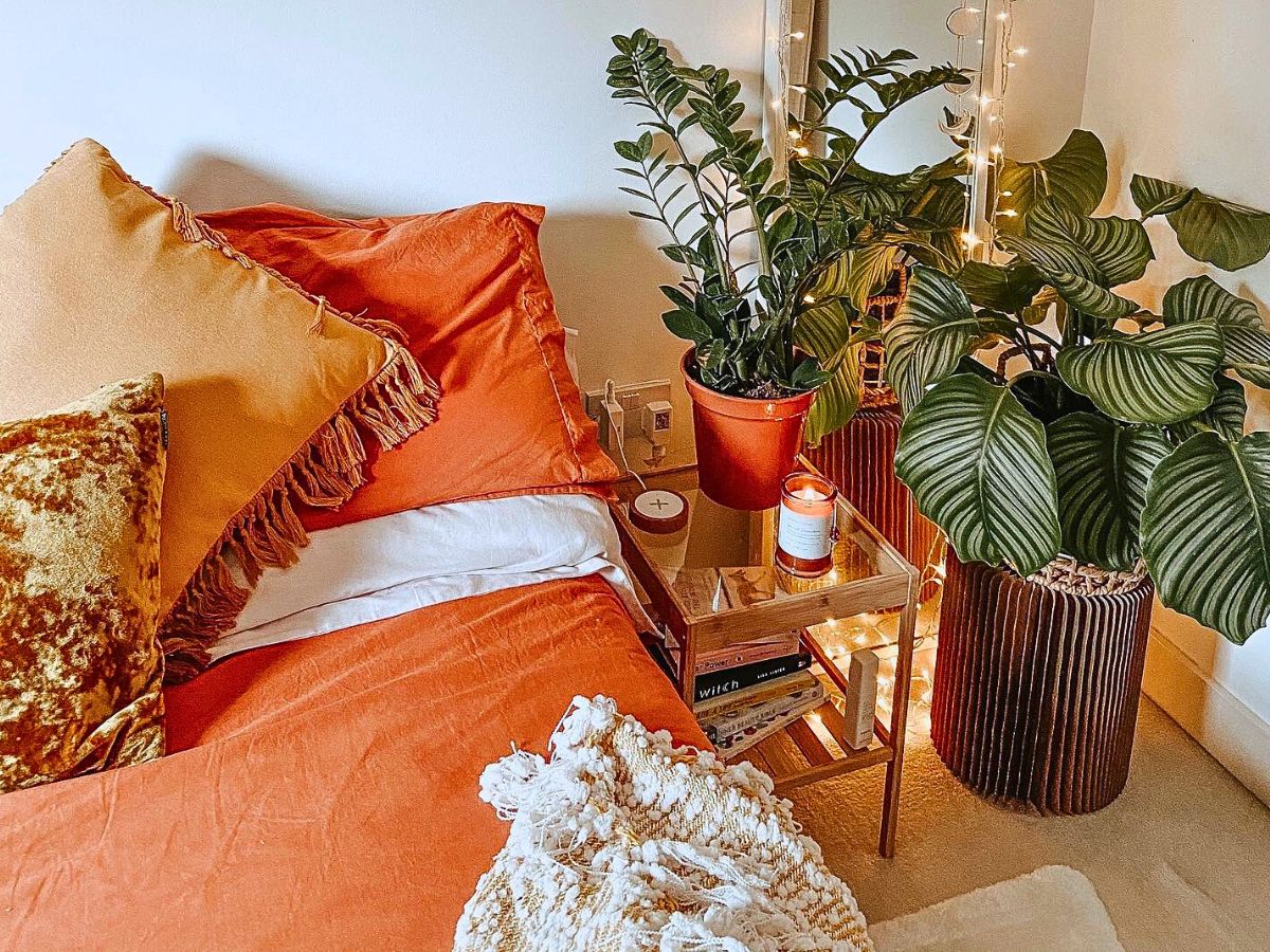 Adding Plants to Your Bedroom Benefits Sleep