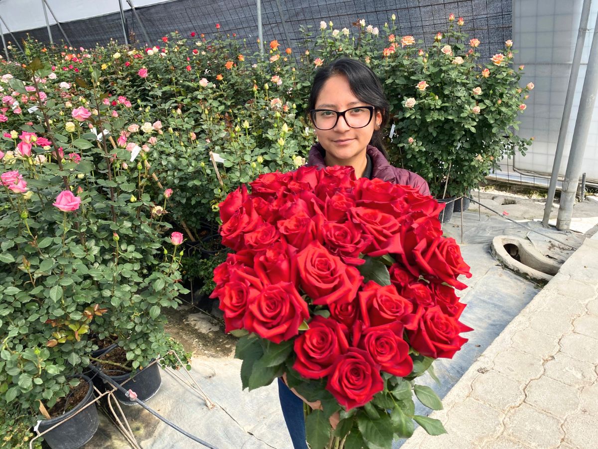 Girl with red Plantec roses