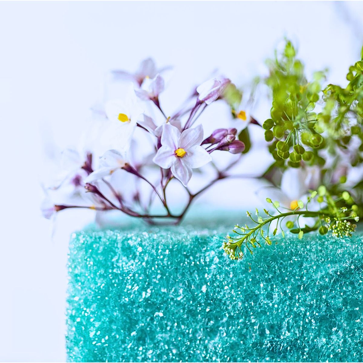 Phoam Labs' Game-Changing Floral Foam