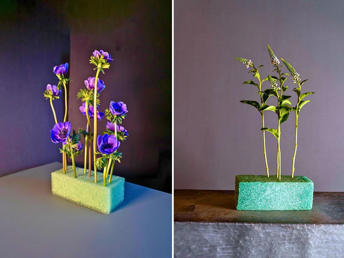 Phoam Labs' Game-Changing Floral Foam