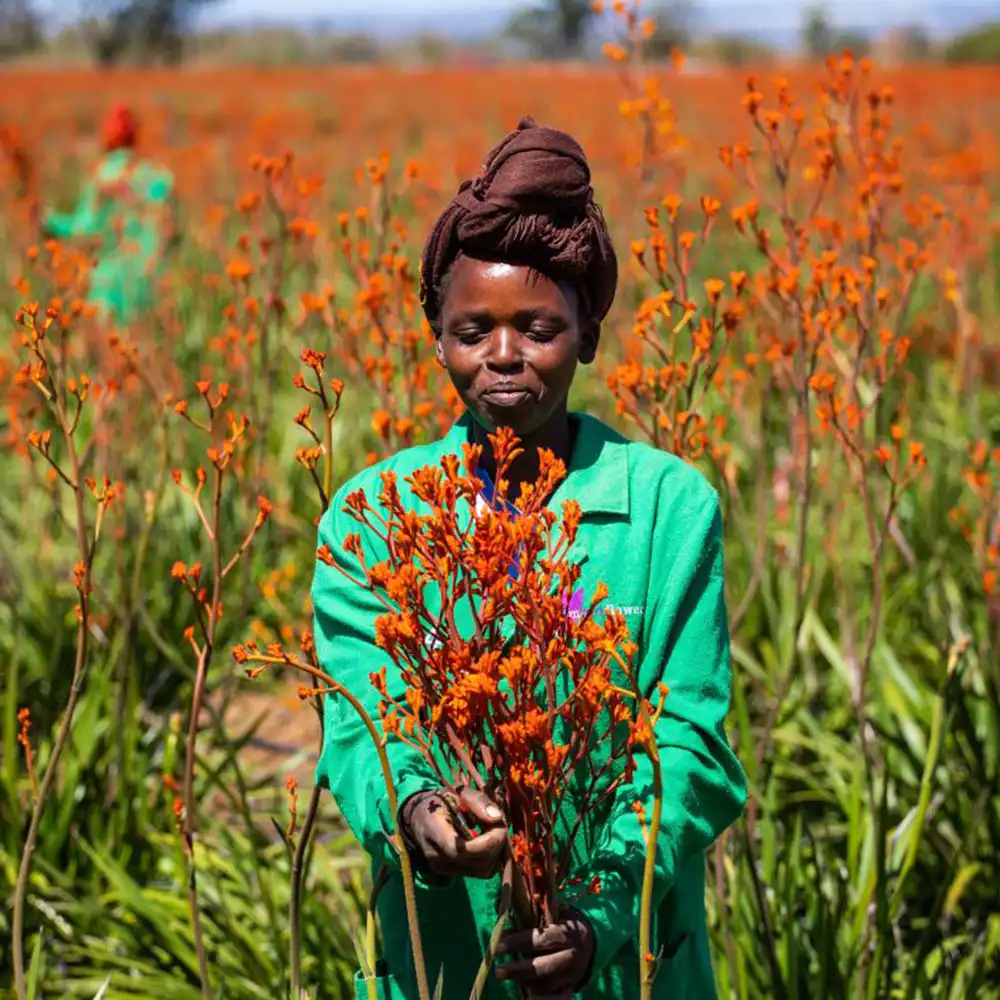 Imani Flowers grower on Thursd feature