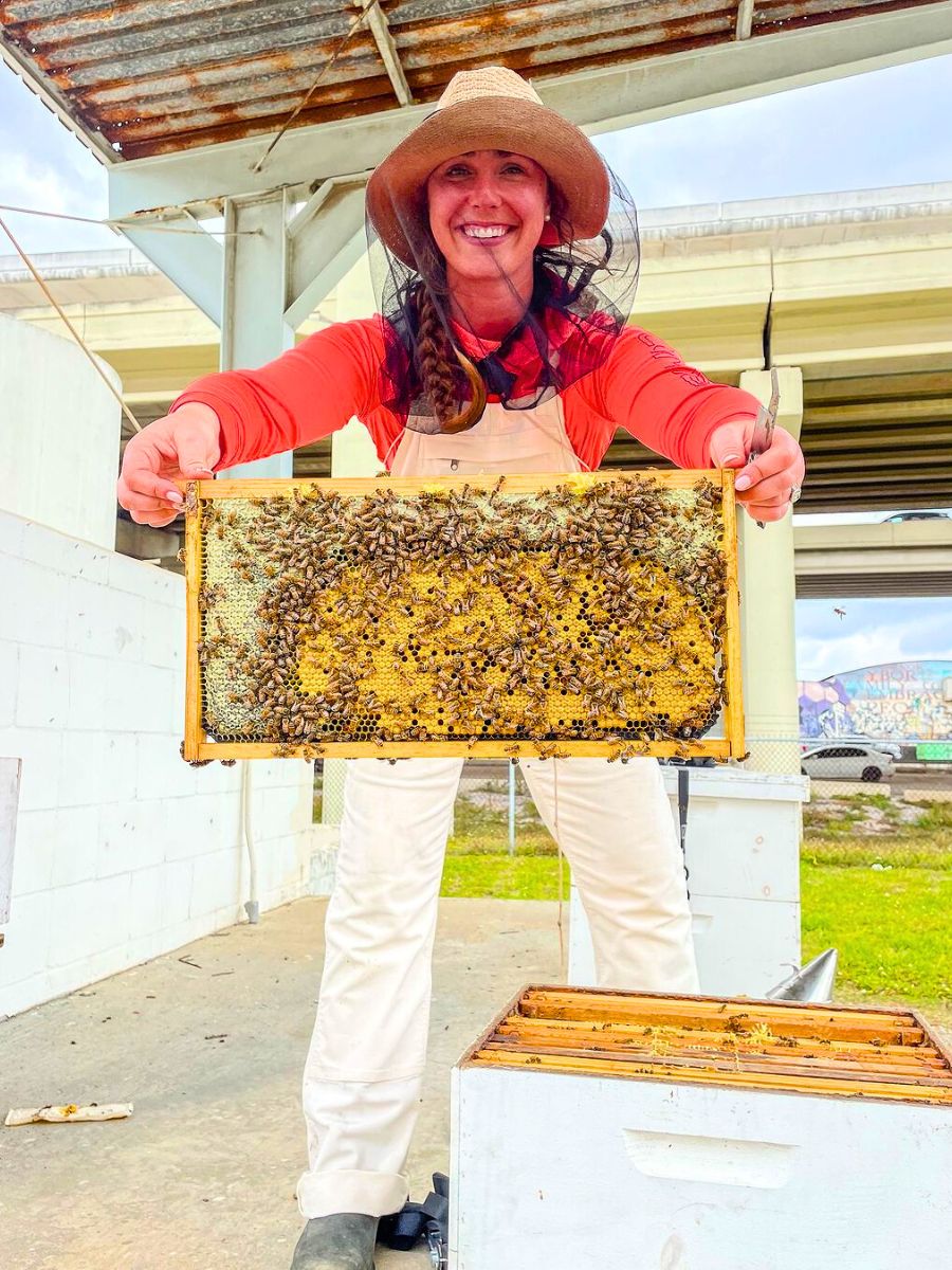 Taking care of a bee hive