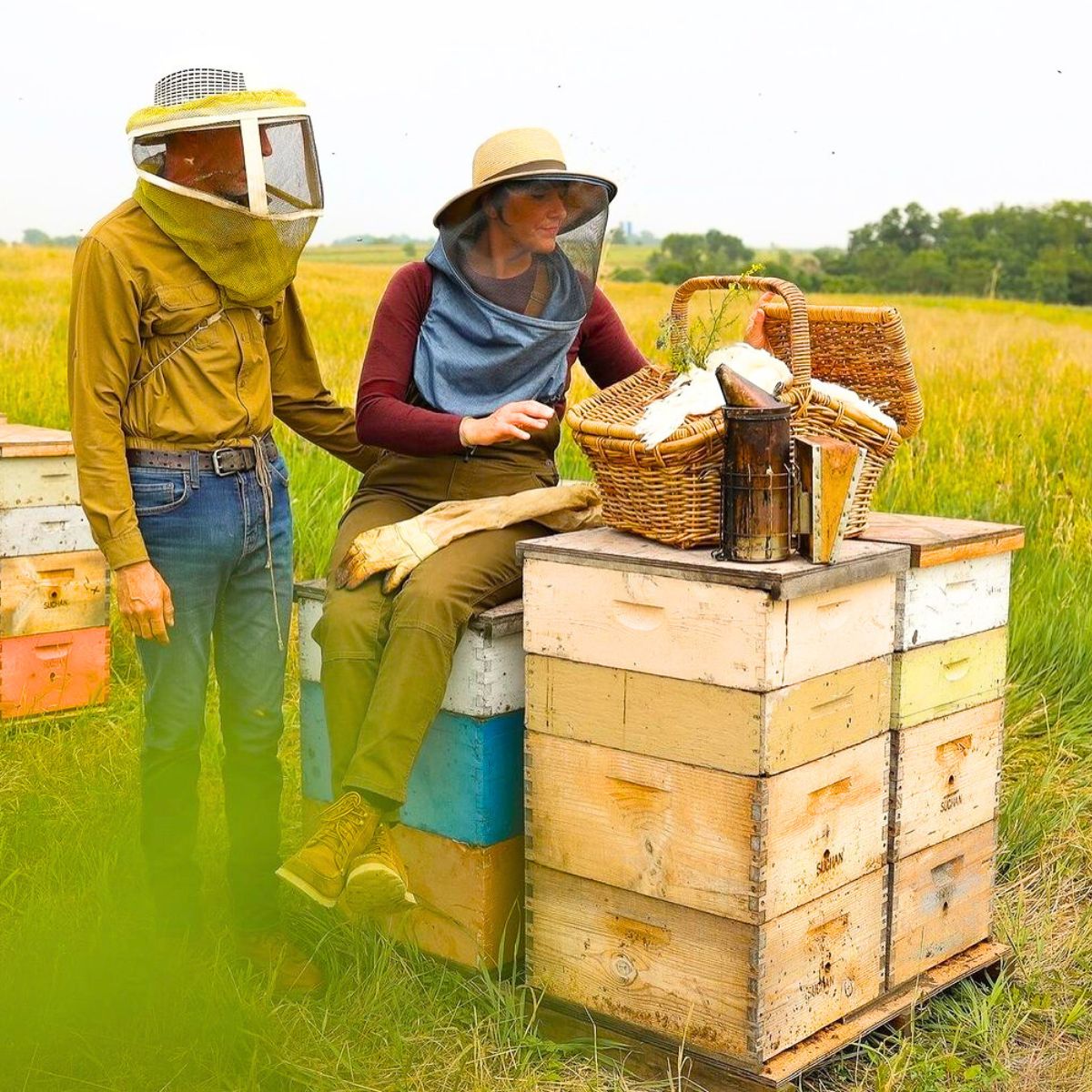 Importance of bees for the ecosystem