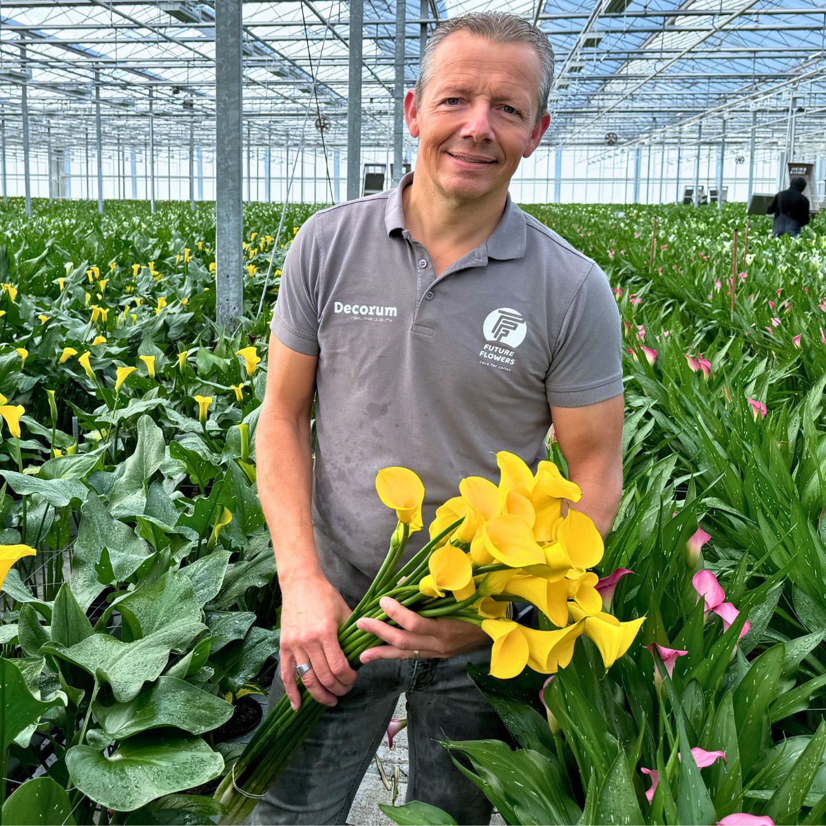 Future Flowers the Dutch Calla Lily Specialist