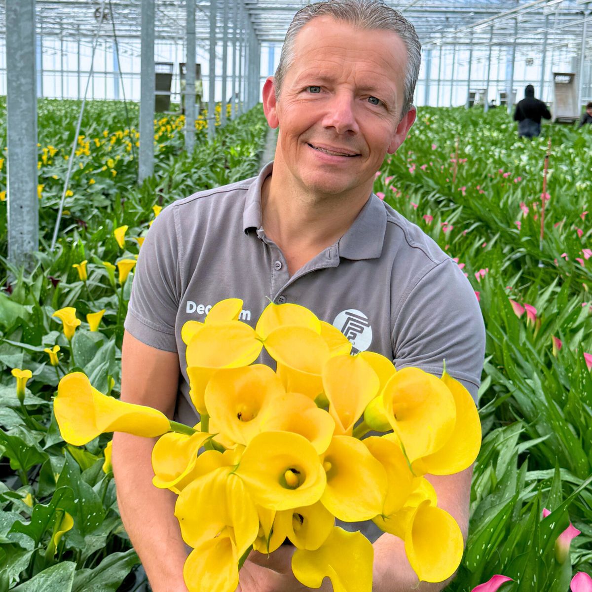 Future Flowers the Dutch Calla Lily Specialist