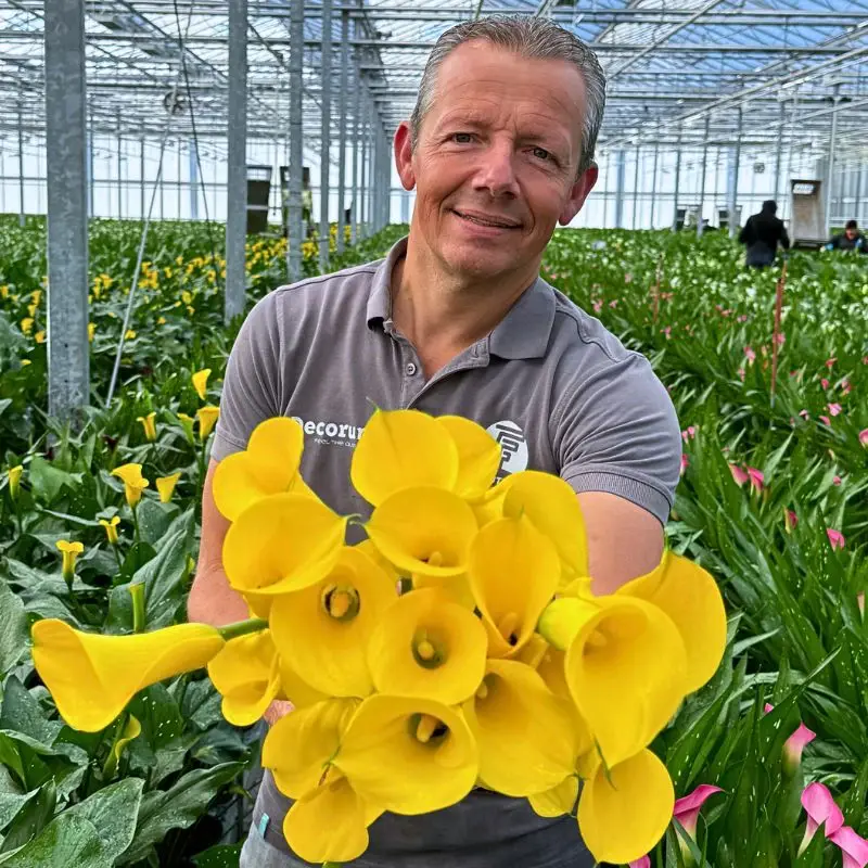 Future Flowers the Dutch Calla Lily Specialist