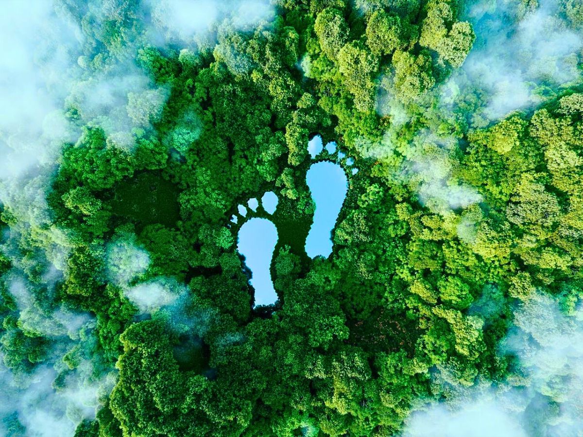 Do You Know Your Carbon Footprint?