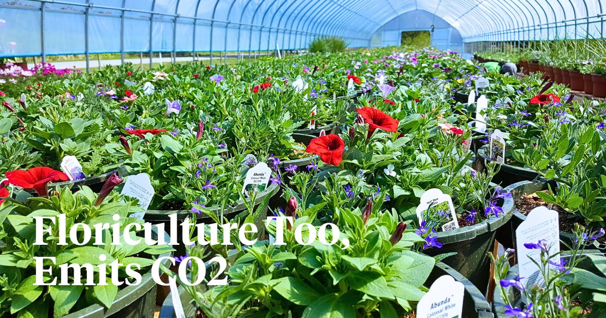 Do You Know Your Floriculture Company’s Carbon Footprint?