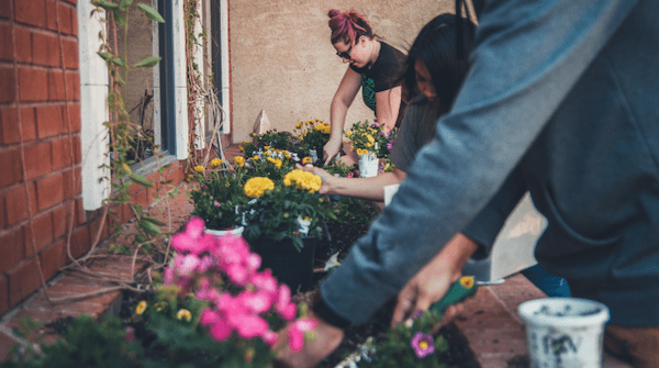 The Guide to Sustainable, Zero-Waste, Ethical Weddings Sustainable Wedding Flowers