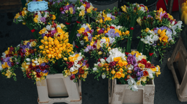 The Guide to Sustainable, Zero-Waste, Ethical Weddings Sustainable Wedding Flowers