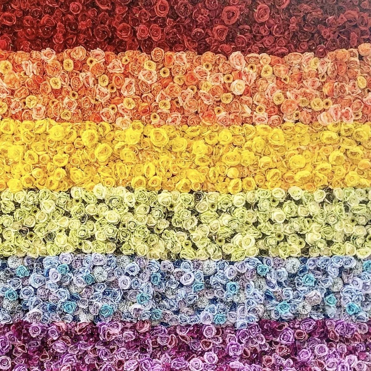 roses in all colors of the rainbow