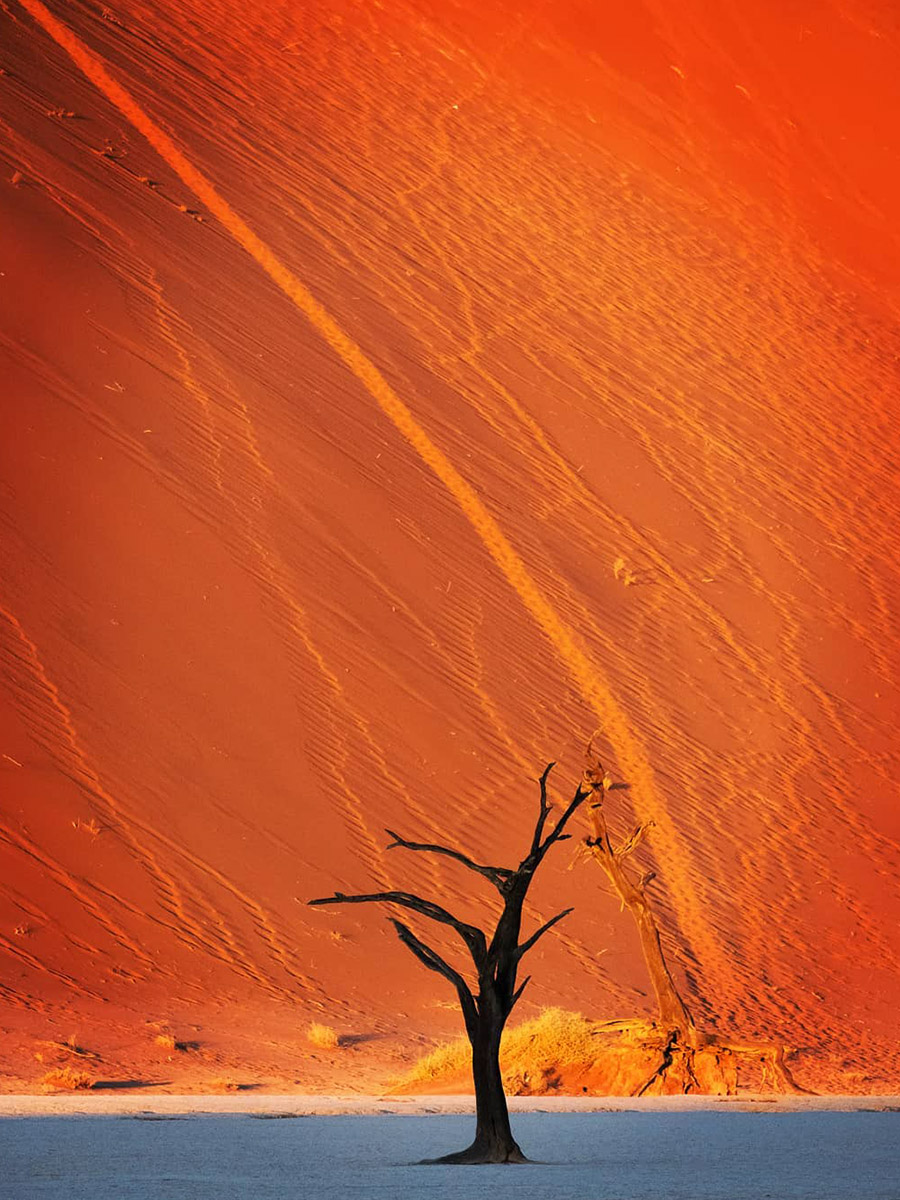 Dead Vlei Tree by photowayfarer