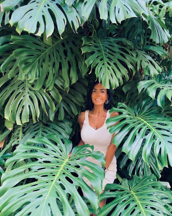 These Popular Houseplants Are Hot on Instagram Right Now Monstera