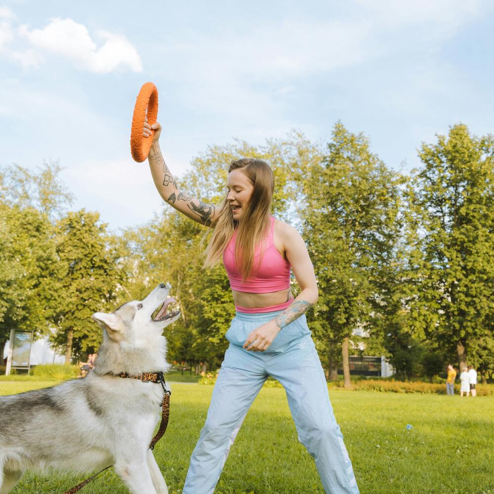 playing game with dog outdoor garden