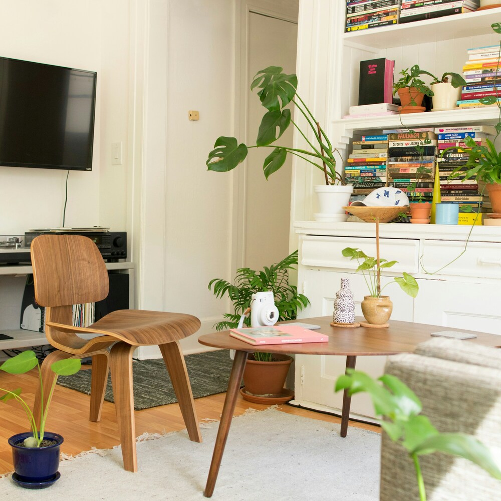 make your room green by indoor plant