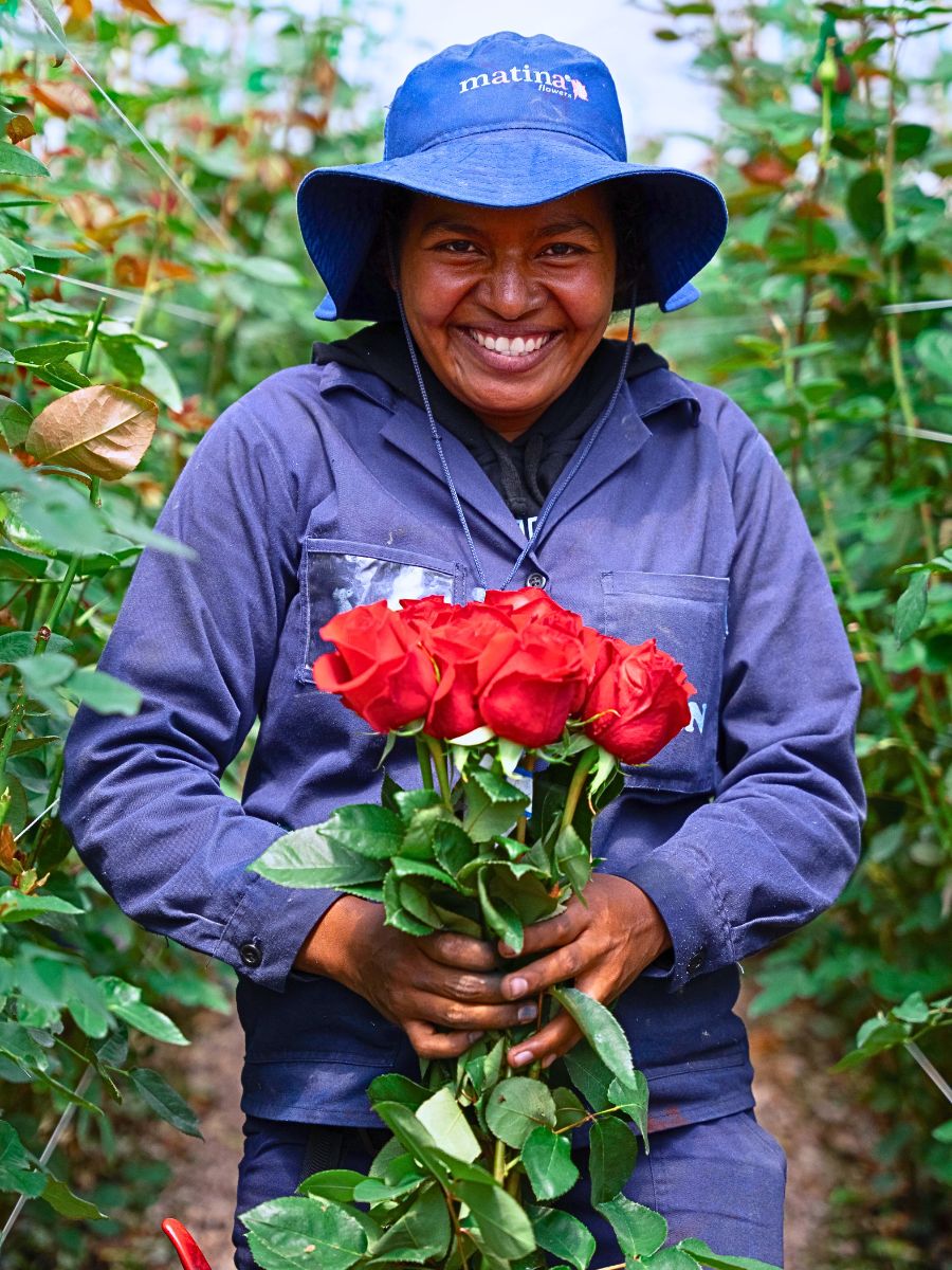 Rose Farms in Colombia