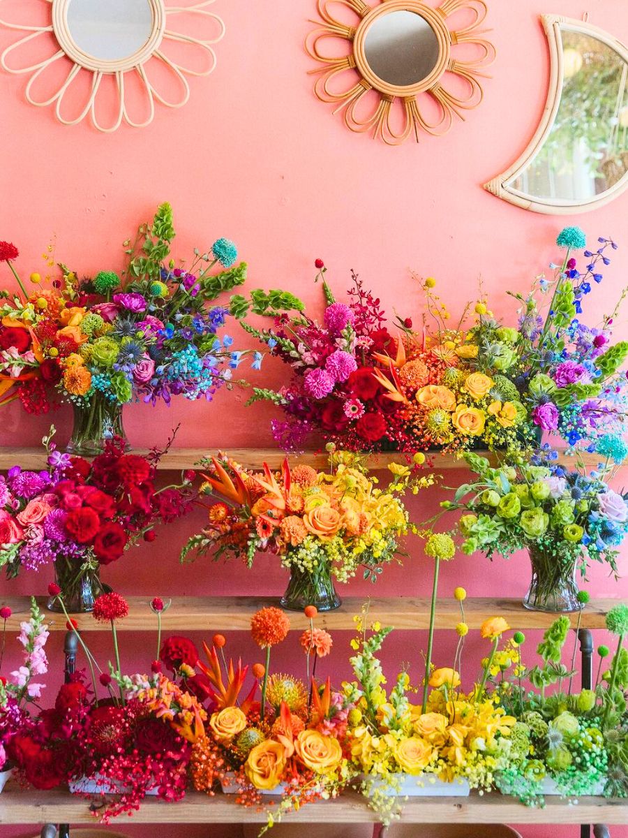 Rainbow flowers at WildFlora