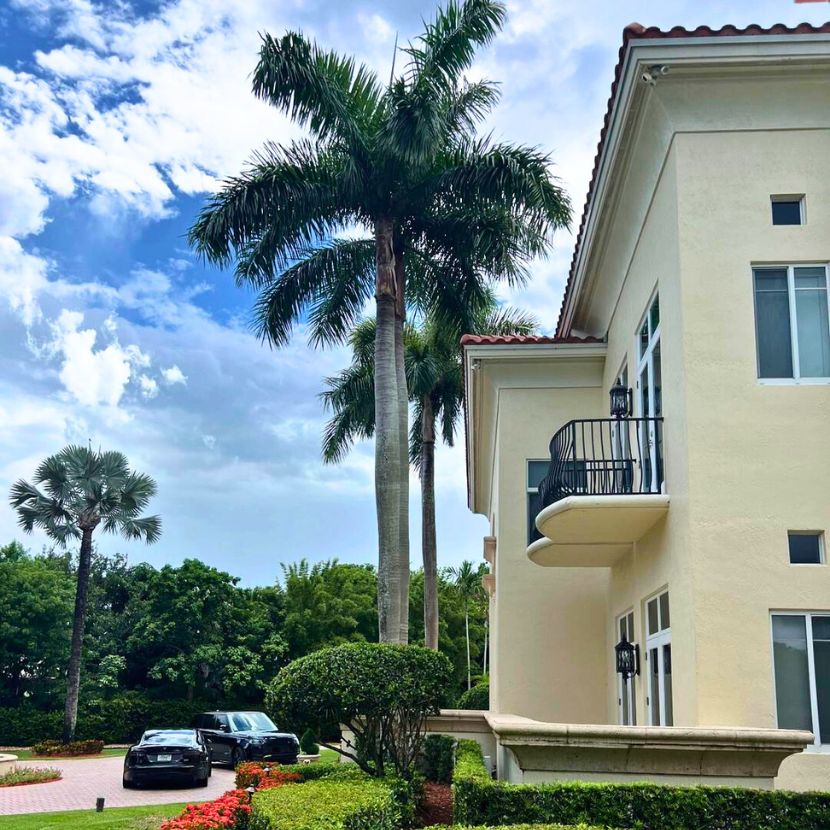 growing foxtail palm trees at house entrance