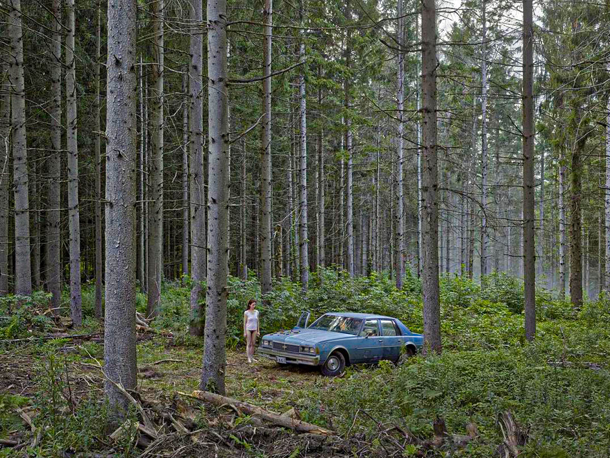 Gregory Crewdson Cinematic Floral Art The Pine Forest