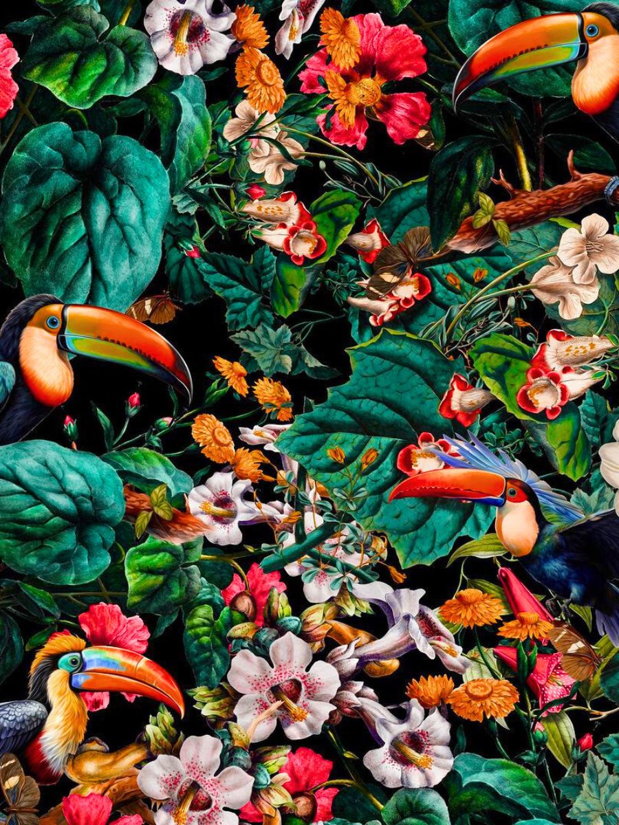 Toucan and hibiscus flower art