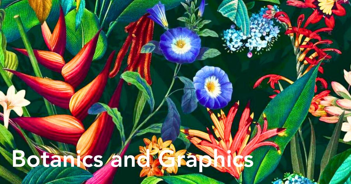 Botanics and graphics by Burcu Korkmazyurek