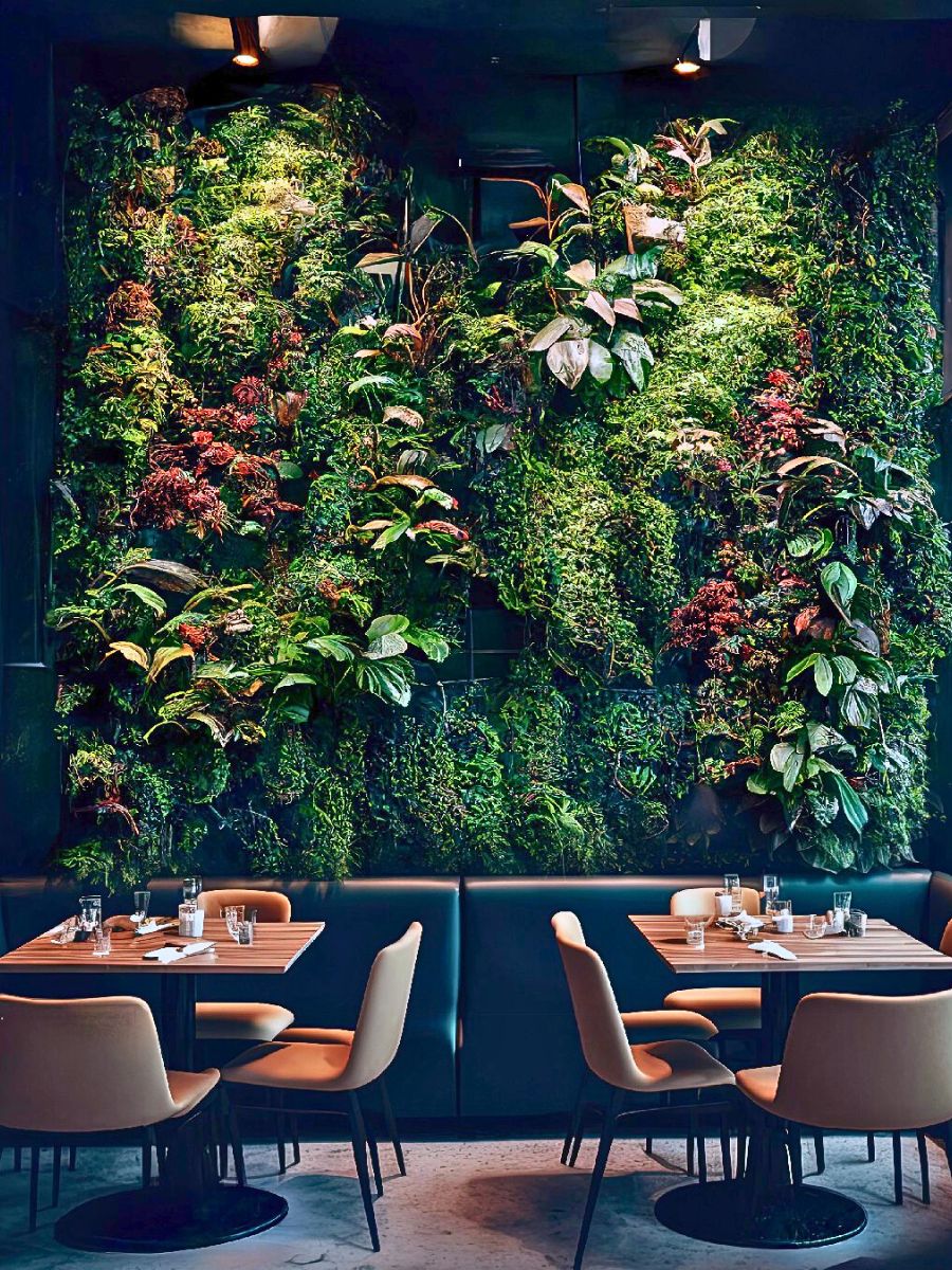 ​Colorful Plants for Therapeutic Living Walls