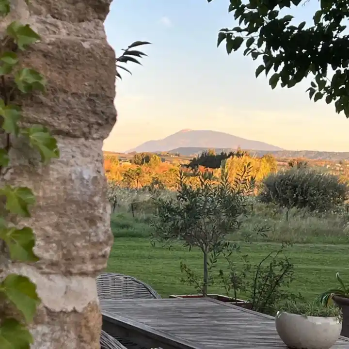 Write Your Flower of Life Story Near Mont Ventoux in France With Josefien Goethals