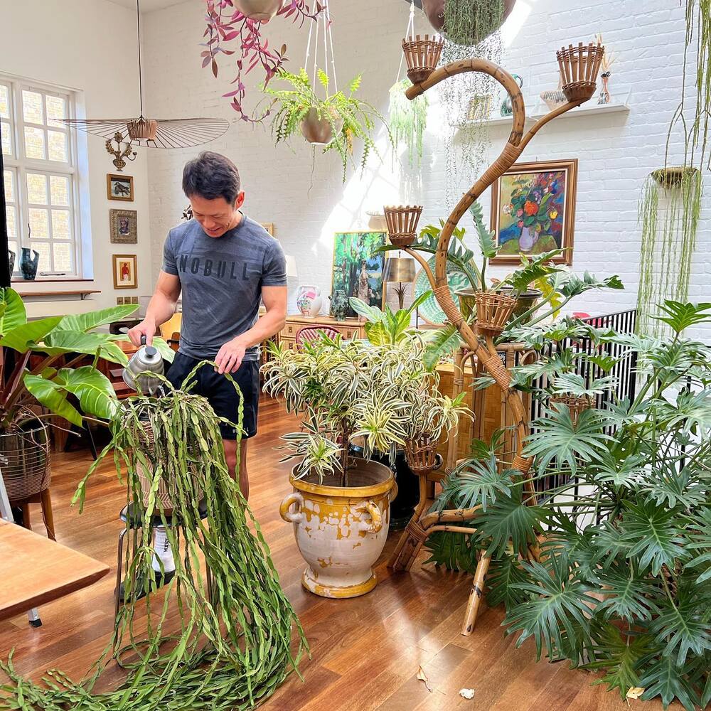 men caring for the indoor plants