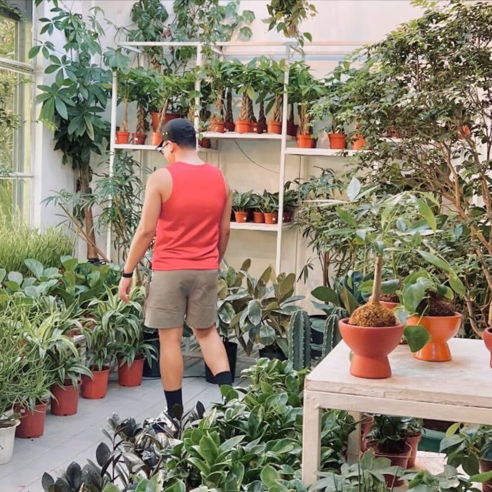 Men watching their indoor plants