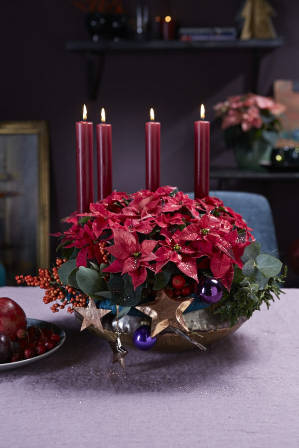 Timeless Holidays With BLOOM's Christmas Trend 'Classic & Elegant' Poinsettia