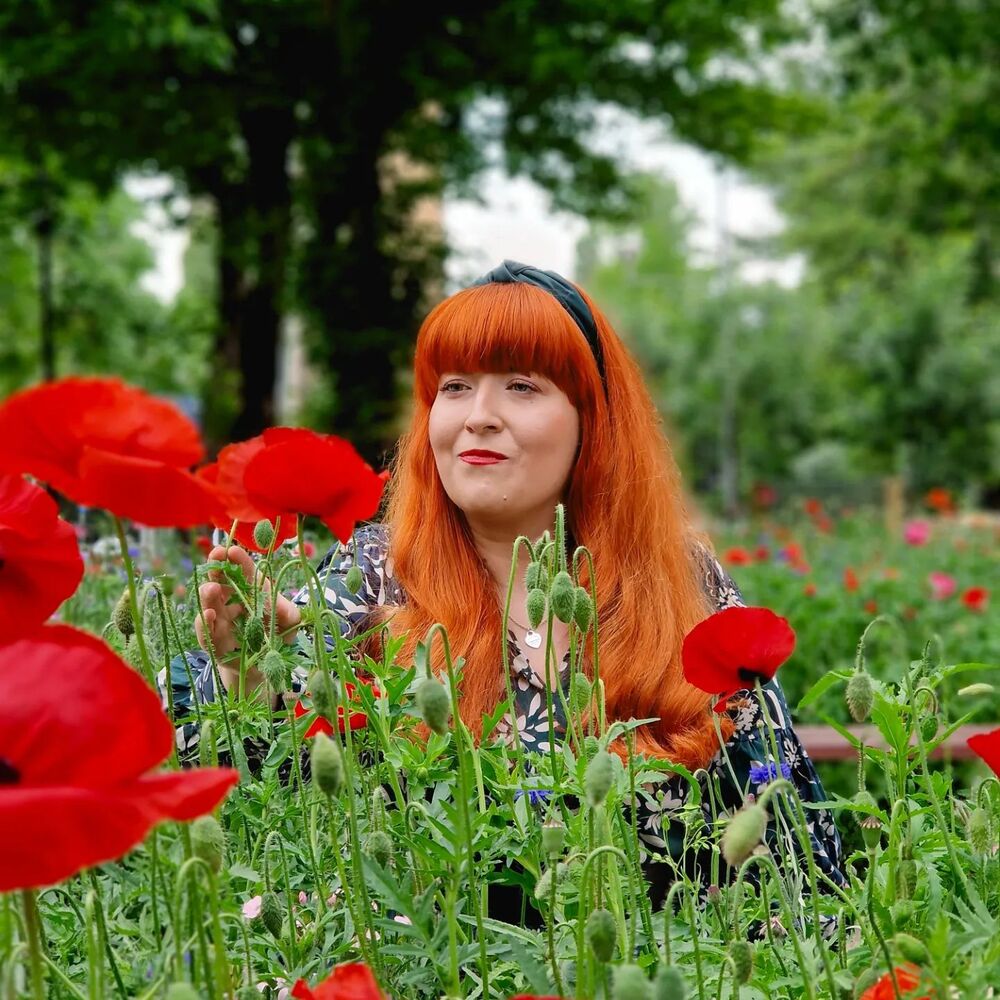 Caring and checking poppy flowers