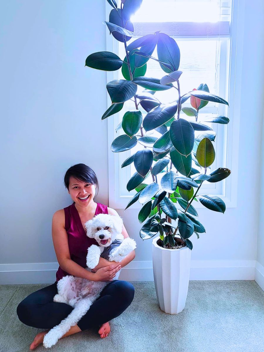 Air-Purifying Plants to Give Your Home a Breath of Fresh Air