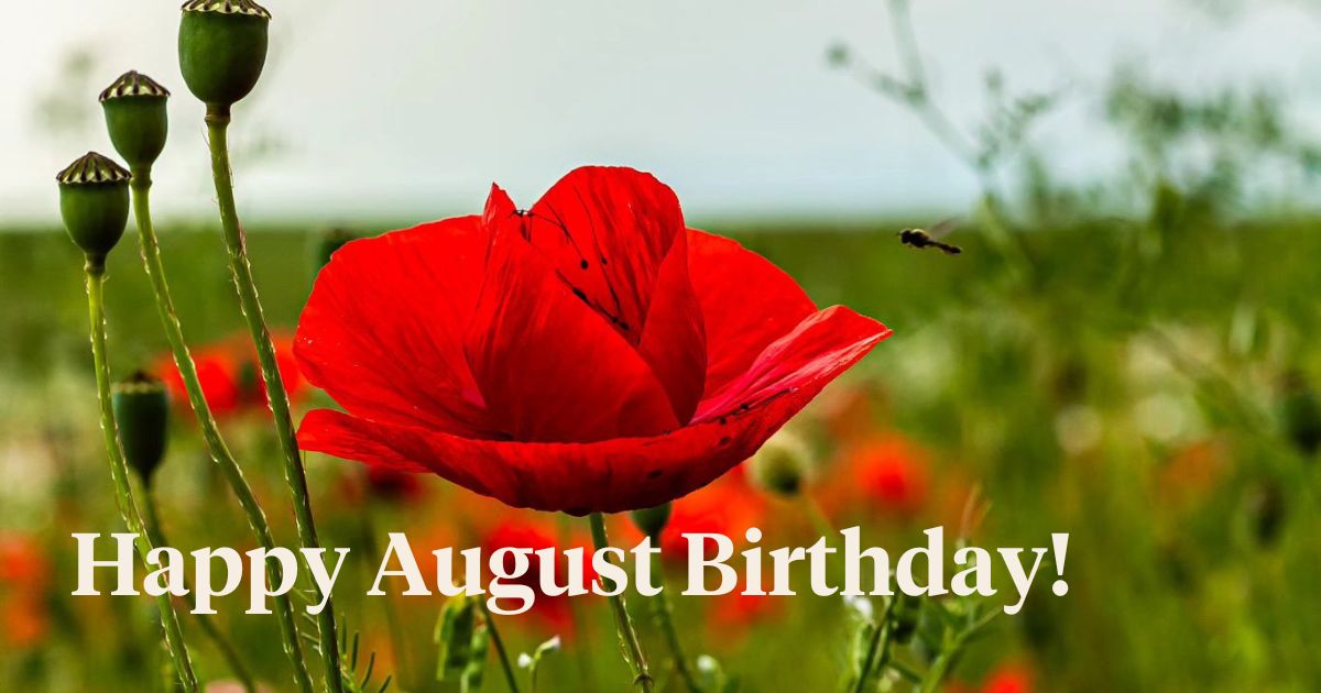 August birth flower