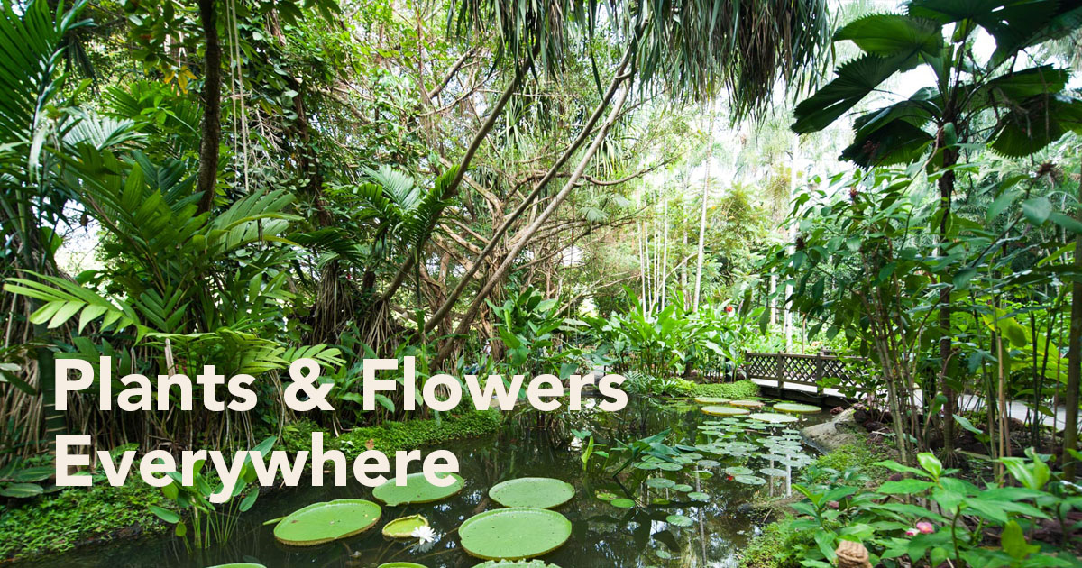 Singapore Botanic Gardens filled with plants and flowers