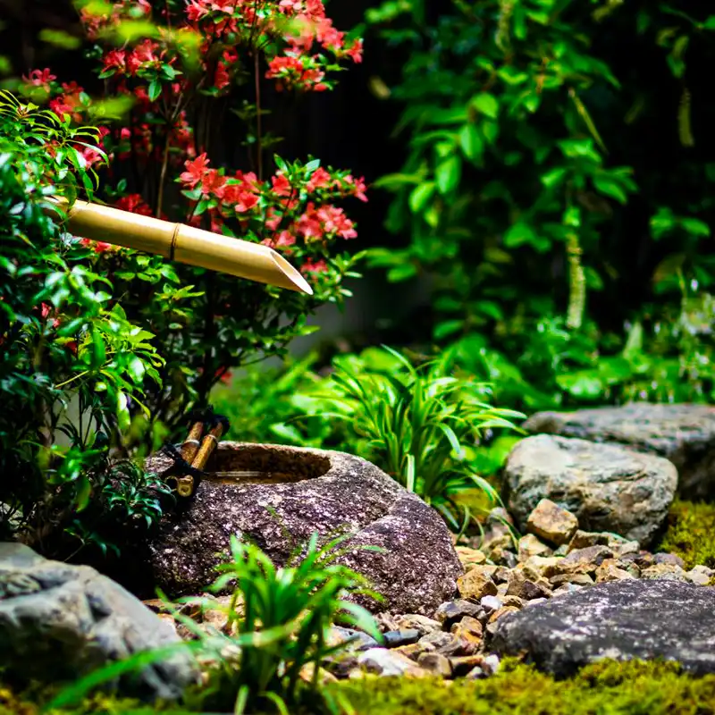 Tsukubai in a machiya garden