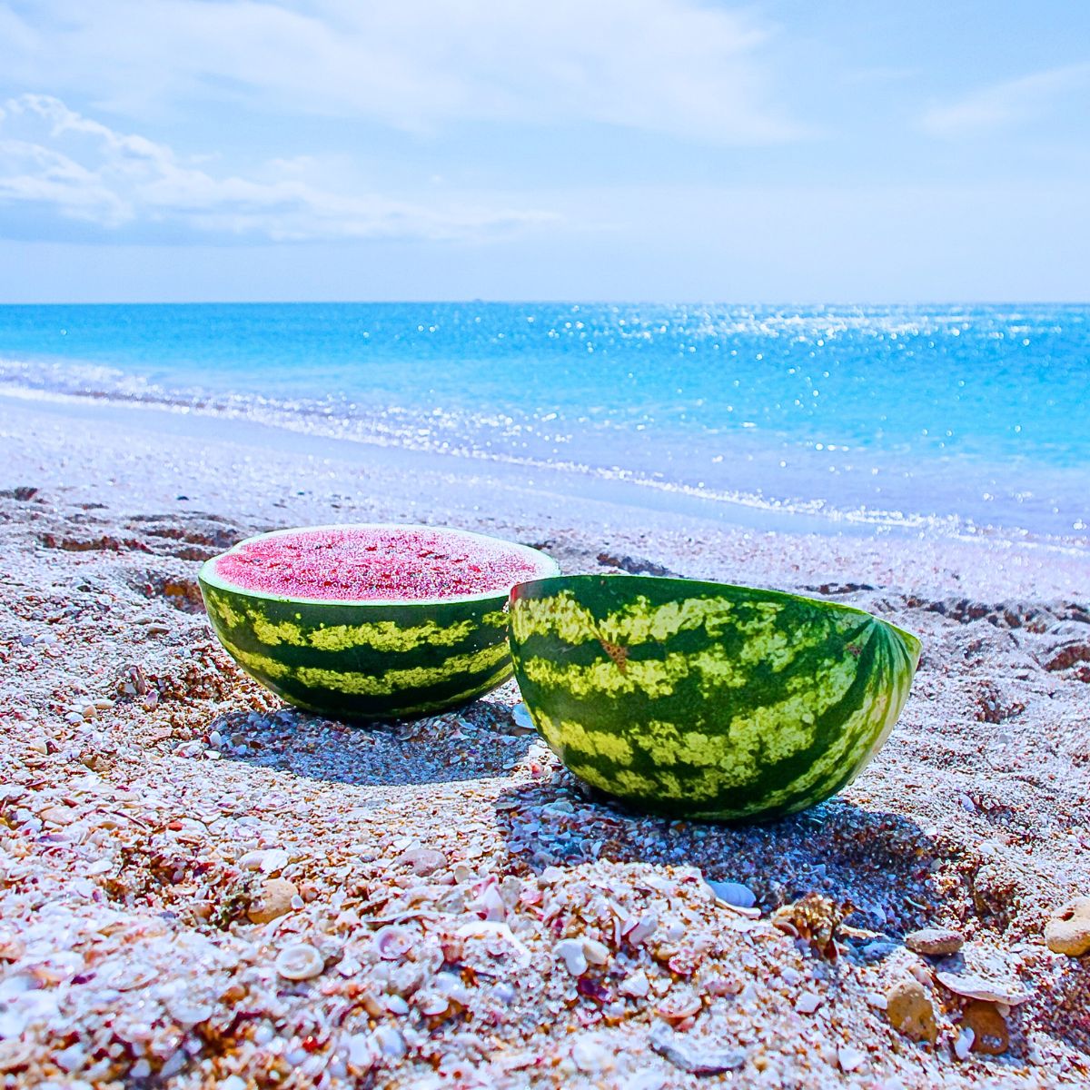 National Watermelon Day, a Day of Juicy Delights