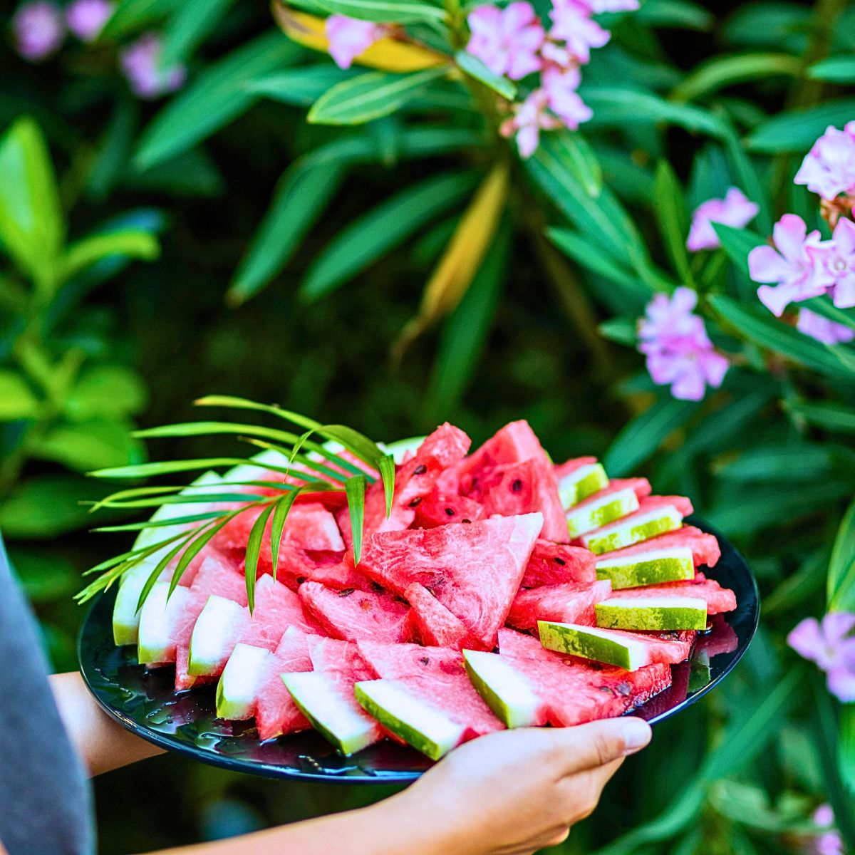 National Watermelon Day, a Day of Juicy Delights