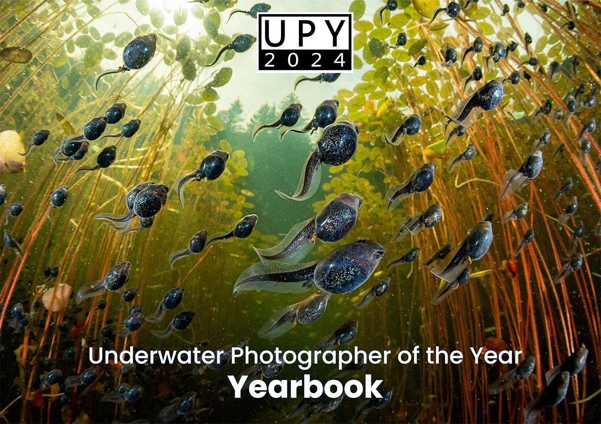 Underwater Photograph of the Year 2024 yearbook